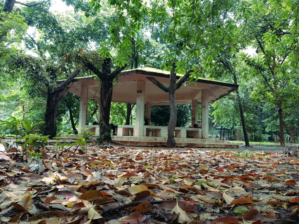 রমনা পার্কের ভেতরে দর্শনার্থীদের বসার জন্য সুন্দর ব্যবস্থা