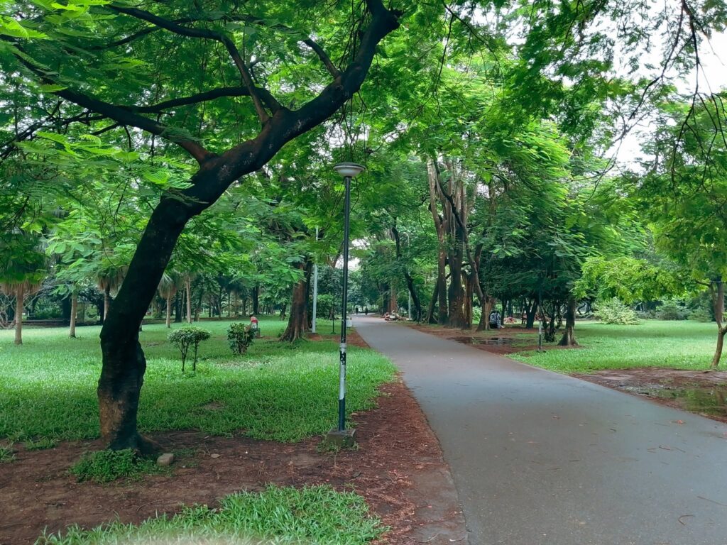 রমনা পার্কের ভিতরে পিচ ঢালা হাঁটার রাস্তা এবং বৃক্ষরাজি